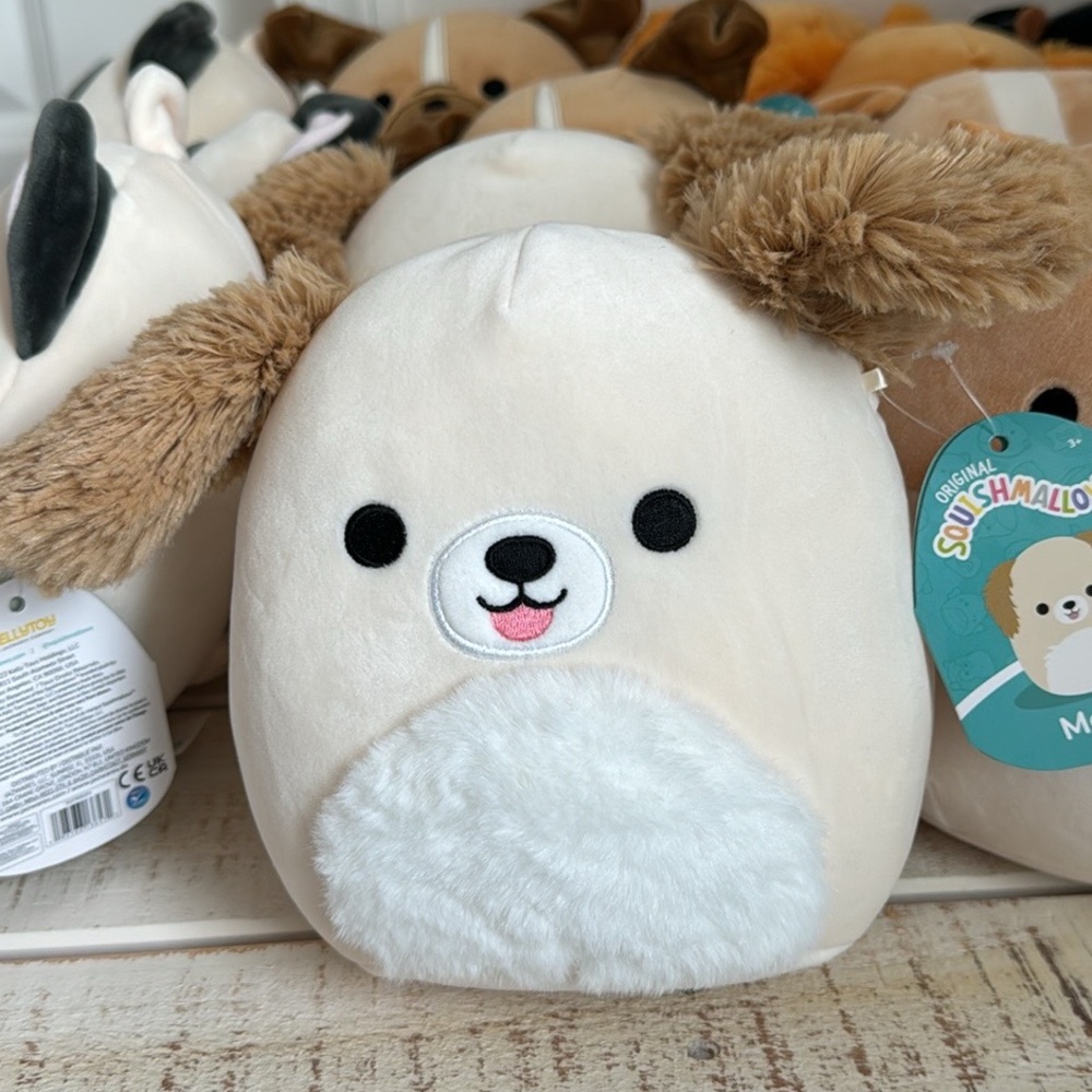 COPY - Squishmallow Meggie the Maltipoo NWT 7.5 inch